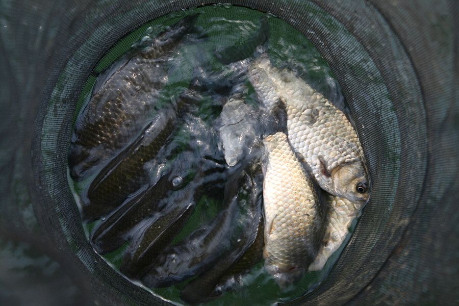 �ٹ̱�_�ݵ������� 808.jpg