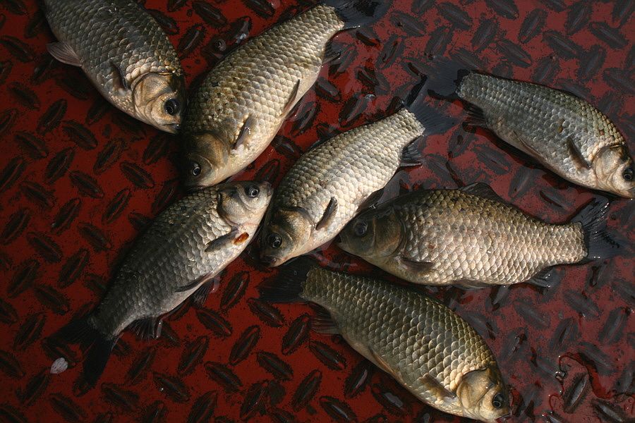 �ٹ̱�_�ݵ������� 814.jpg