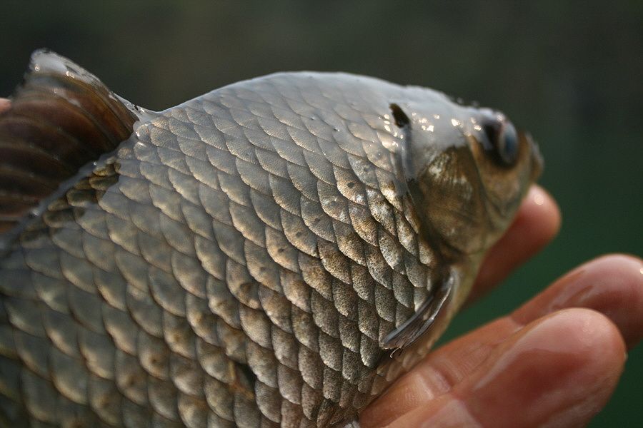 �ٹ̱�_�ݵ������� 816.jpg