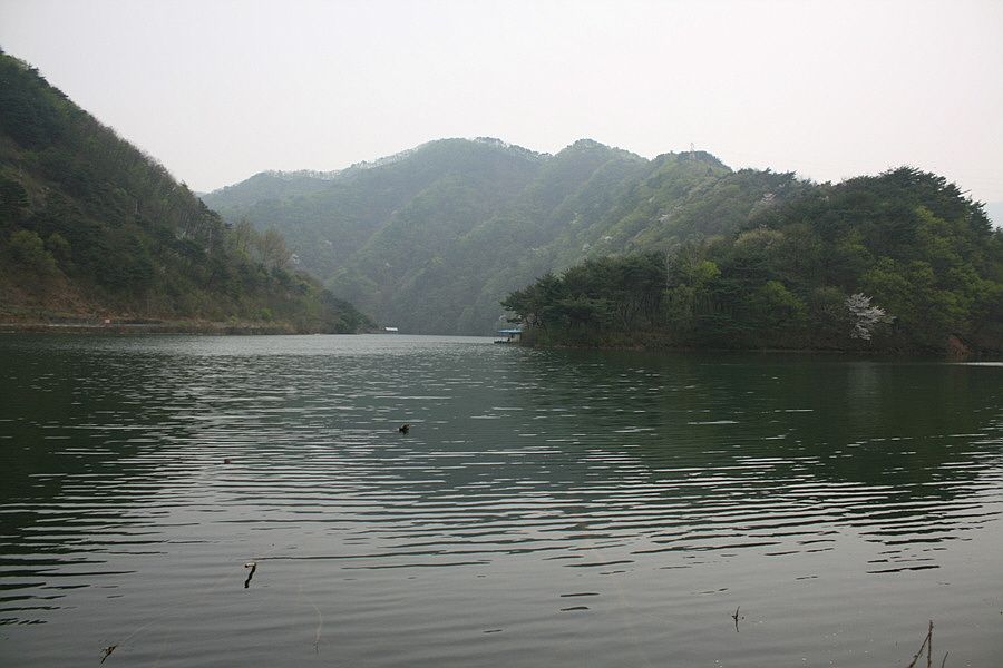 �ٹ̱�_�ݵ������� 830.jpg