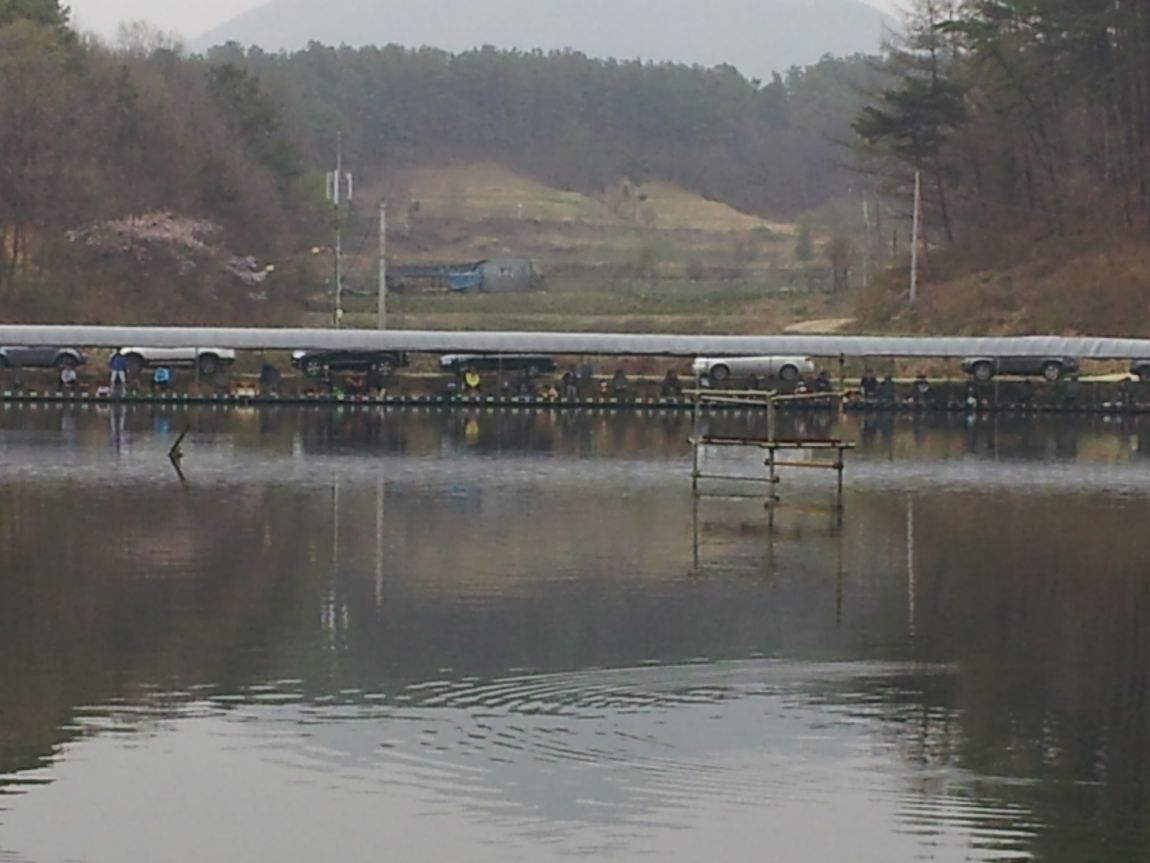 20140412_162651.jpg