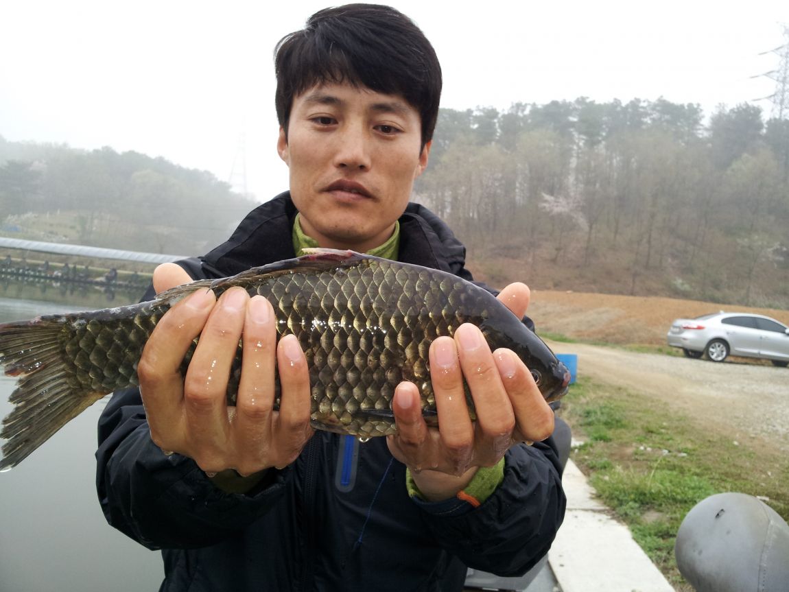20140416_090311.jpg