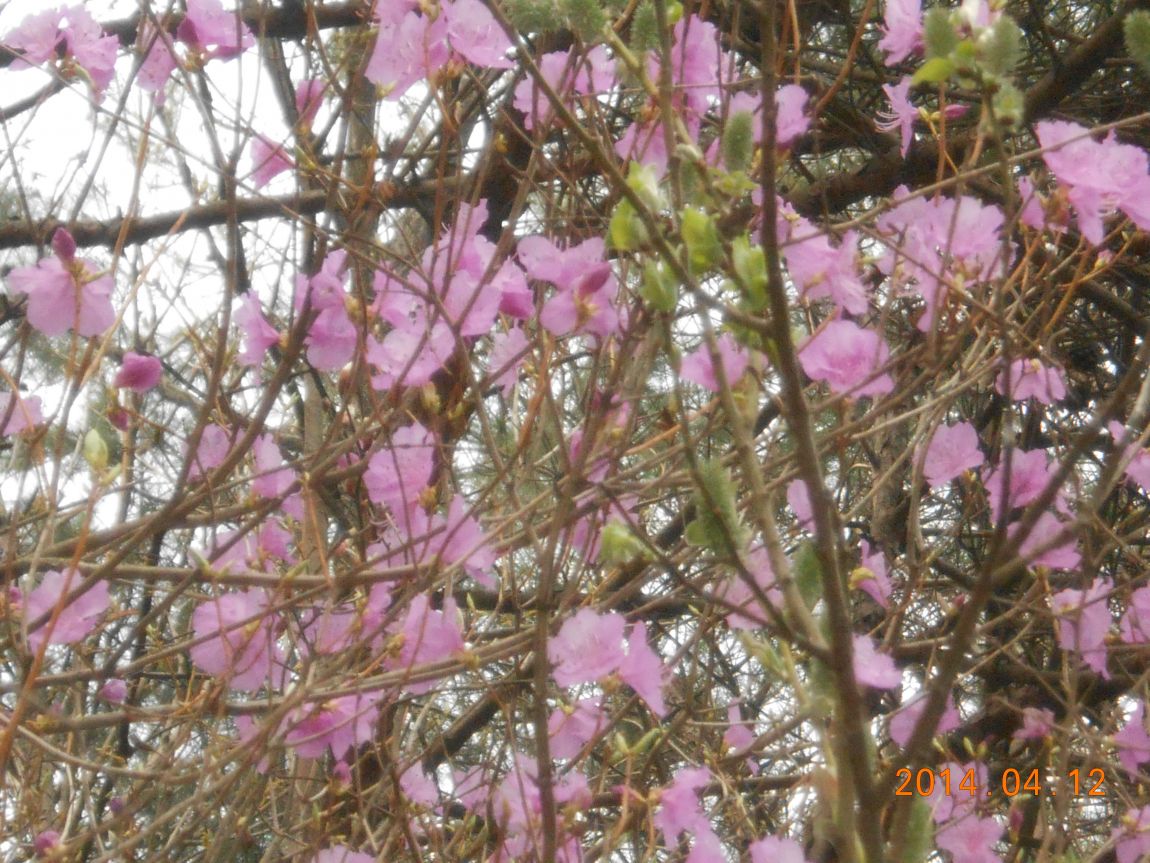 DSCN1130.JPG
