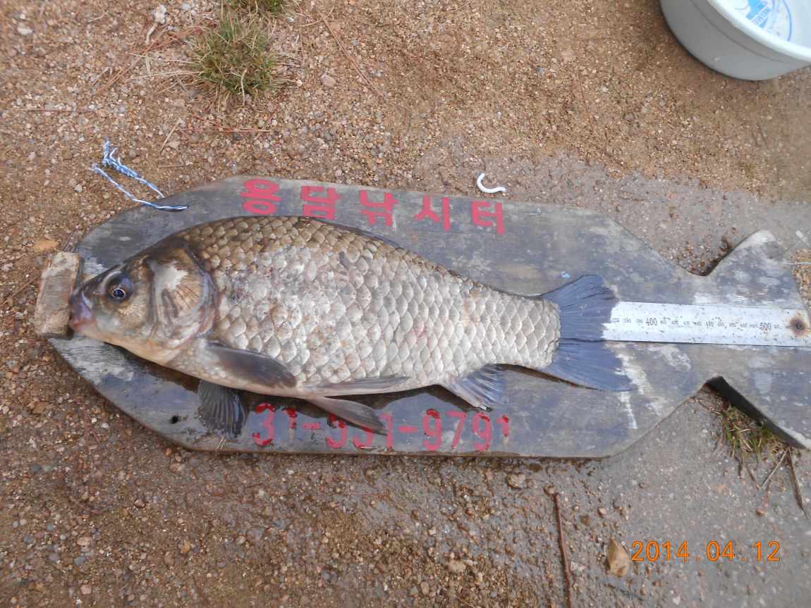 DSCN1127.JPG