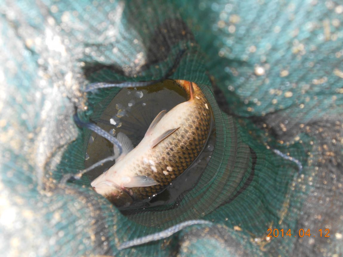 DSCN1128.JPG