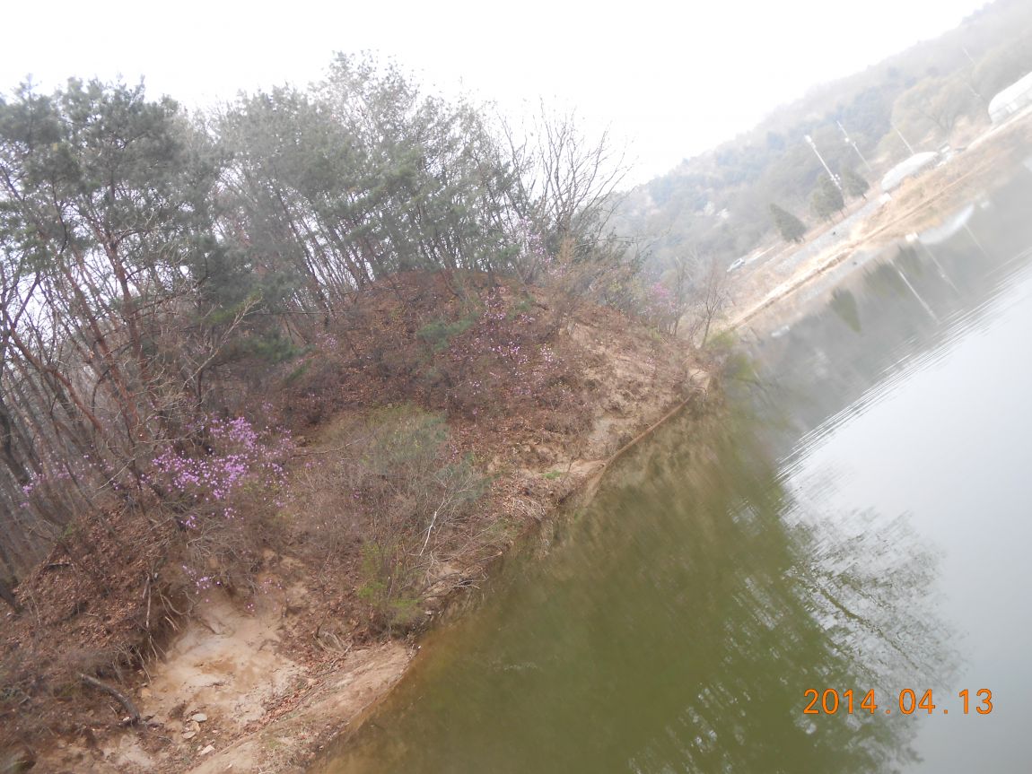 DSCN1147.JPG