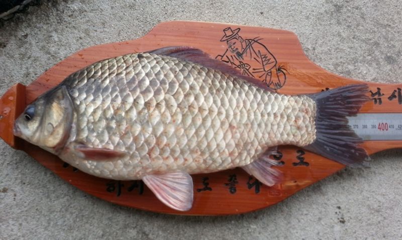 20140413_081046.jpg