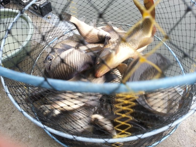 20140413_081806.jpg