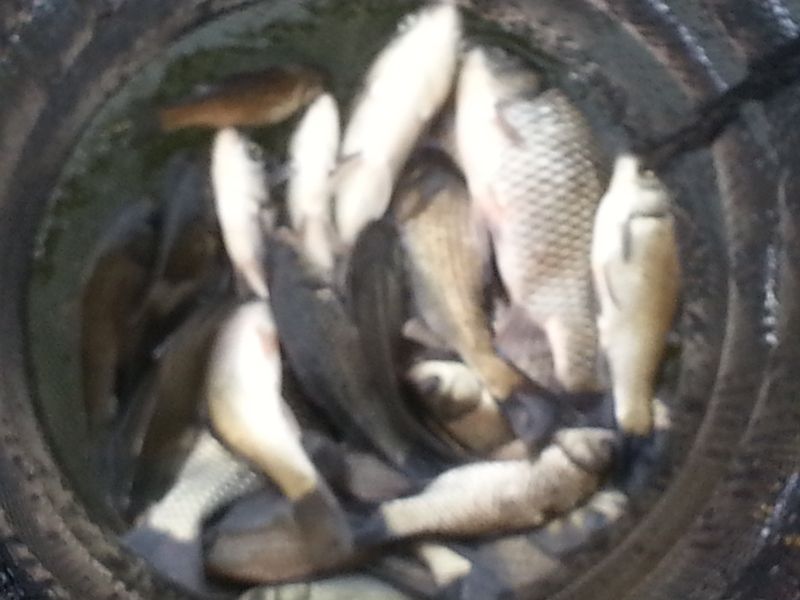 20140413_085223.jpg