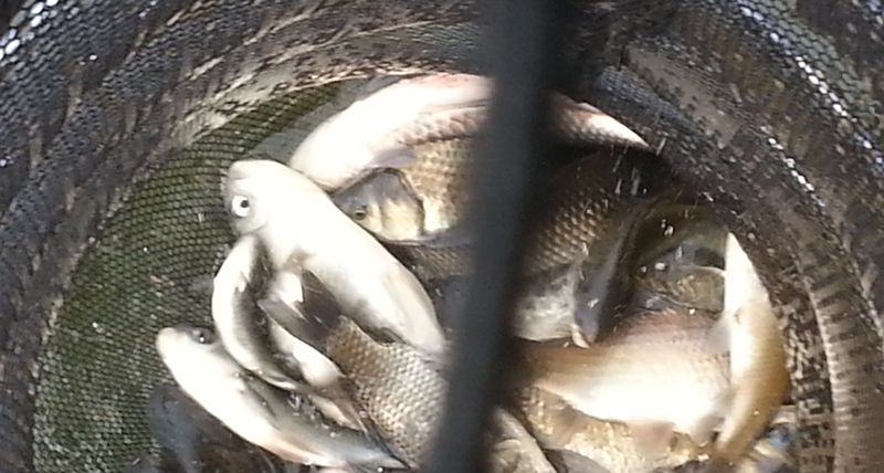 20140413_085227.jpg