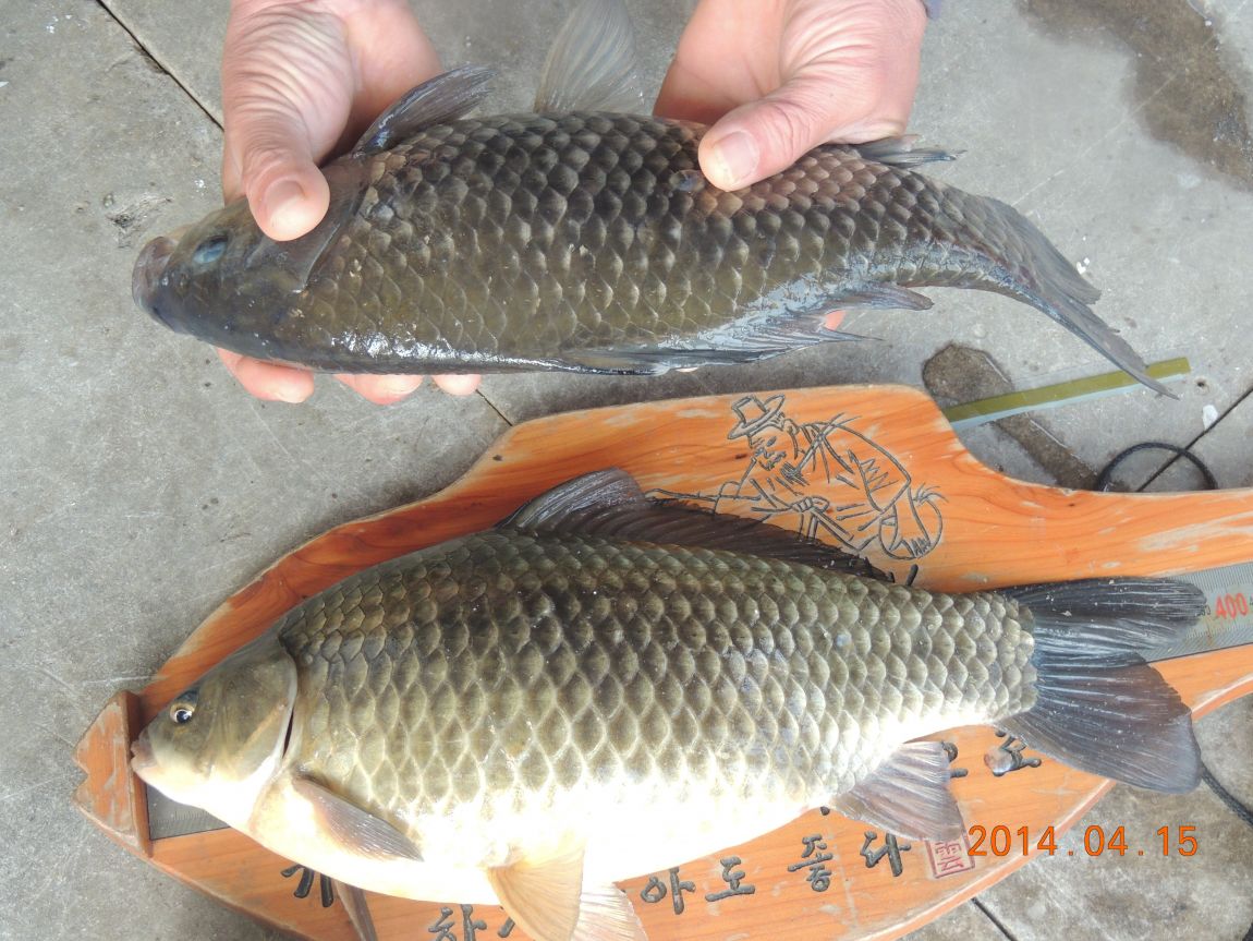 DSCN0552.JPG