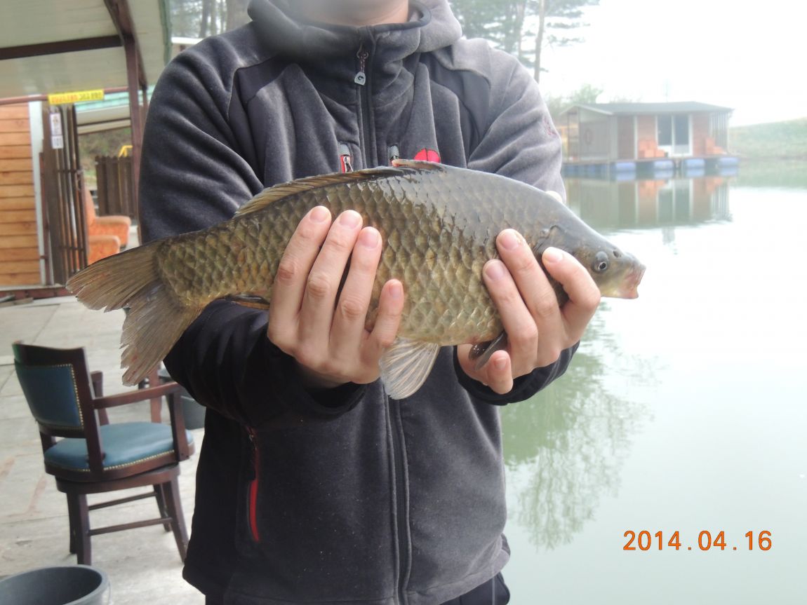 DSCN0563.JPG