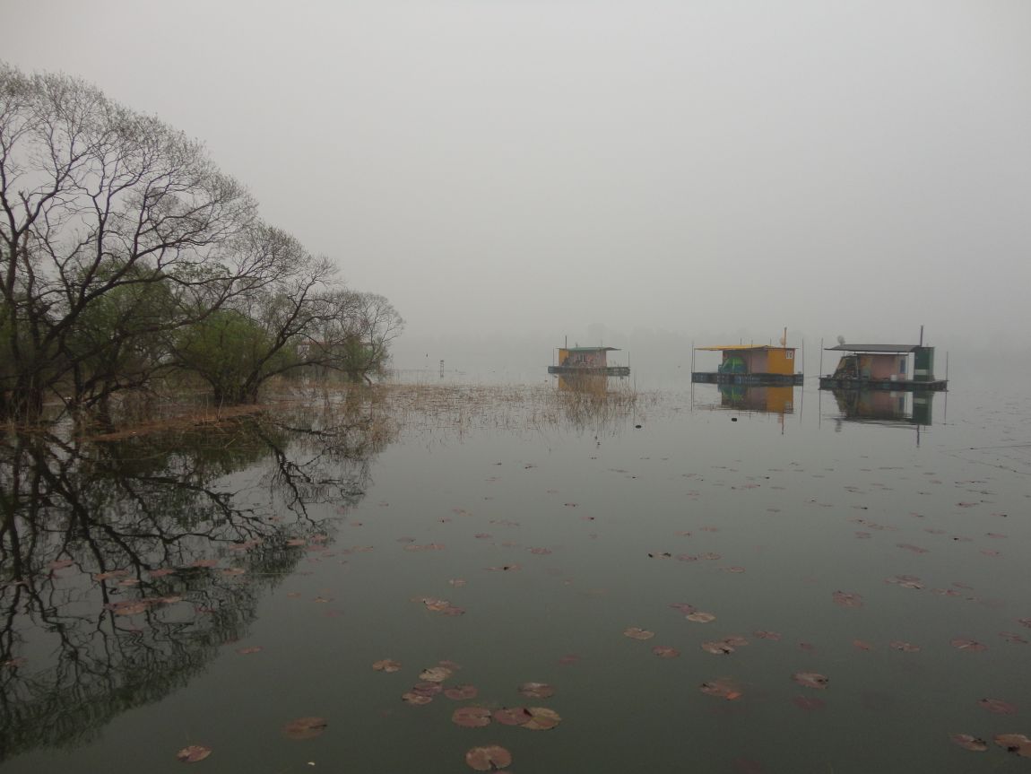 DSC07755.JPG