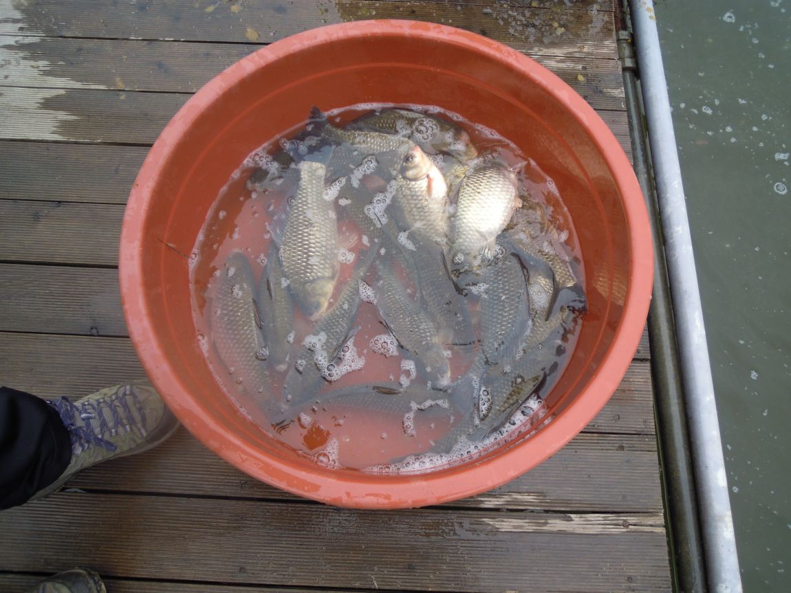 4��13 058.jpg
