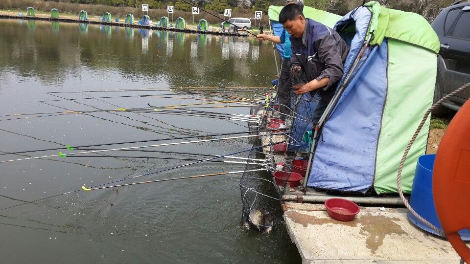 P20140417_142505000_E5289A68-96F6-4DEA-9901-91D9E7E19565 (1).JPG