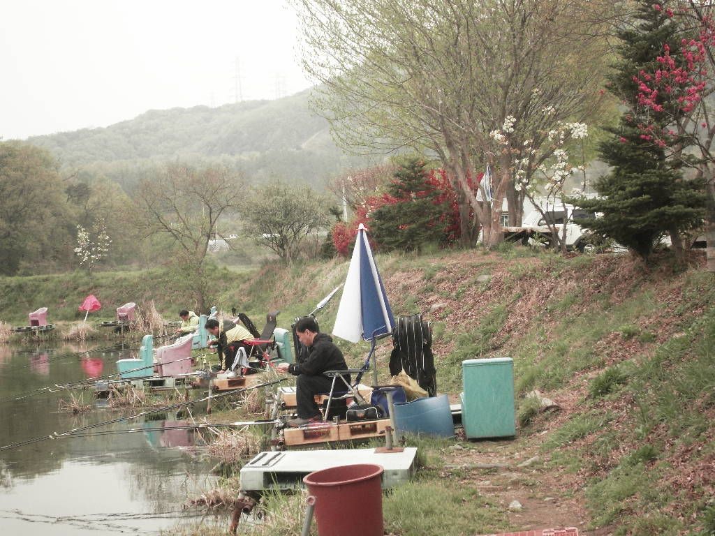 SDC10314.JPG