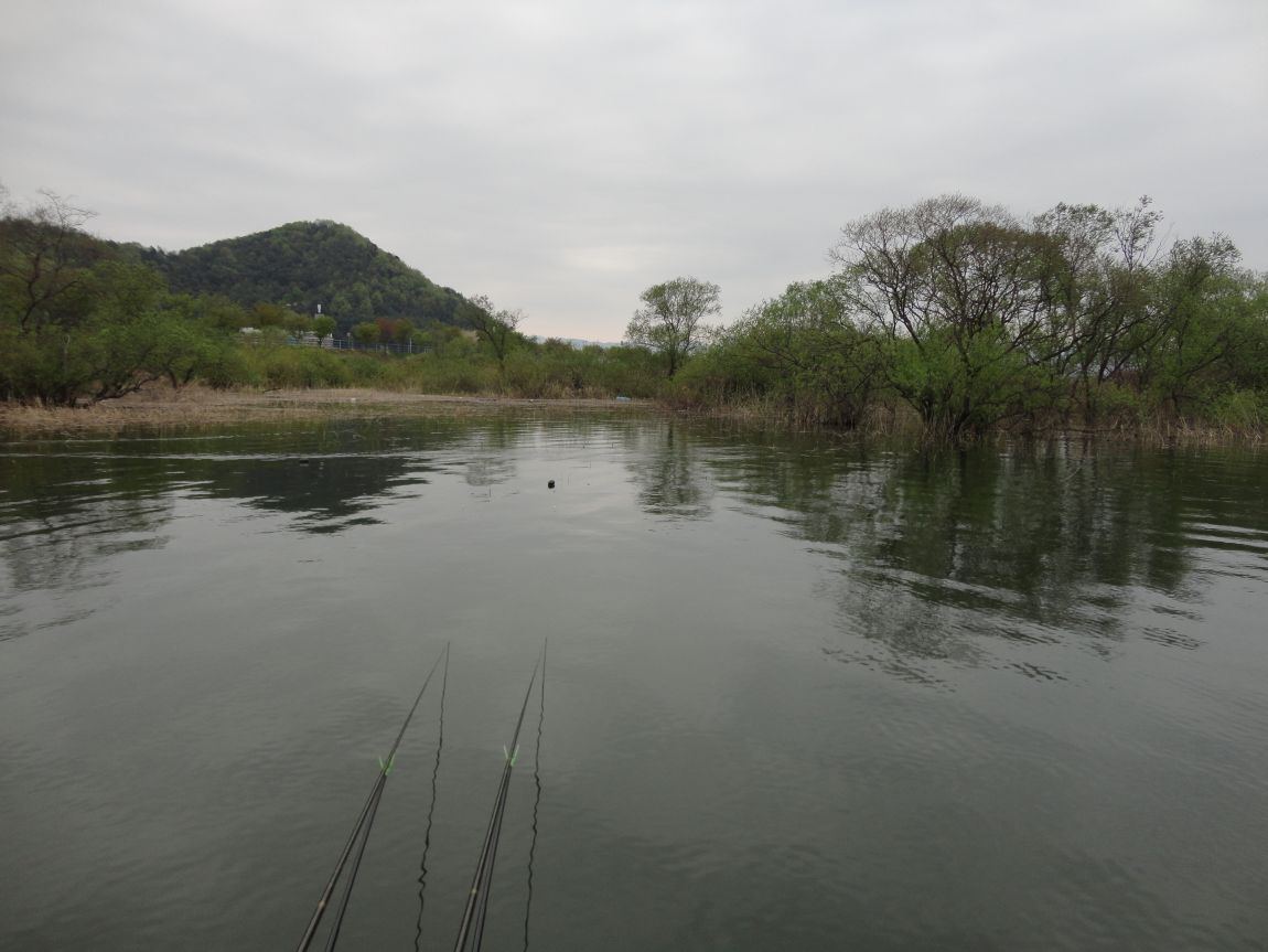 DSC07799.JPG