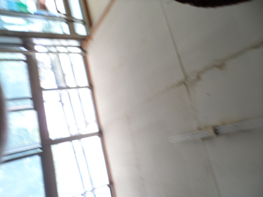 SAM_0918.JPG