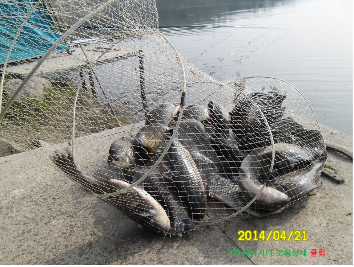 ���� ����.jpg