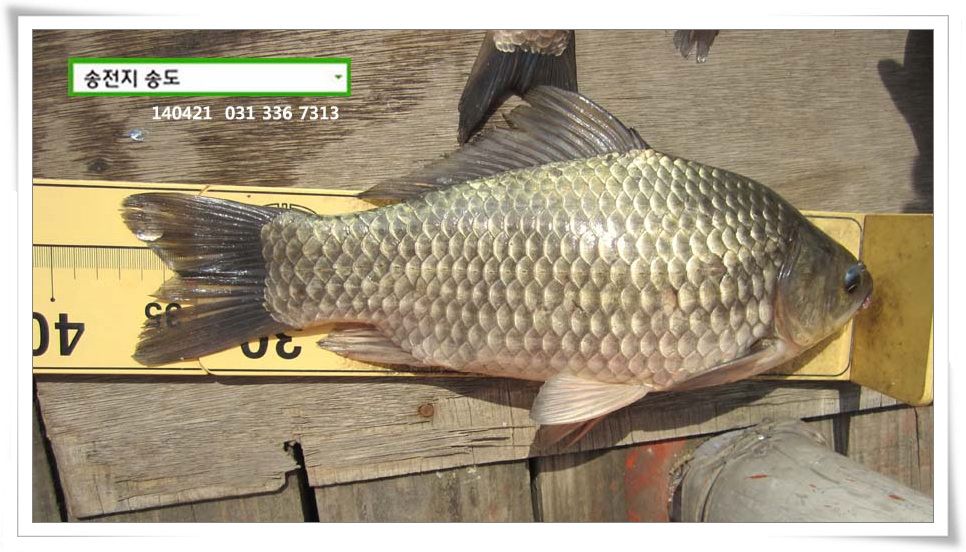 IMG_0058.jpg copy.jpg