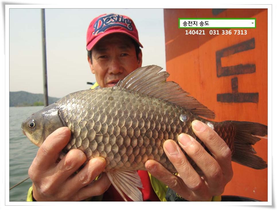 IMG_0052.JPG copy.jpg