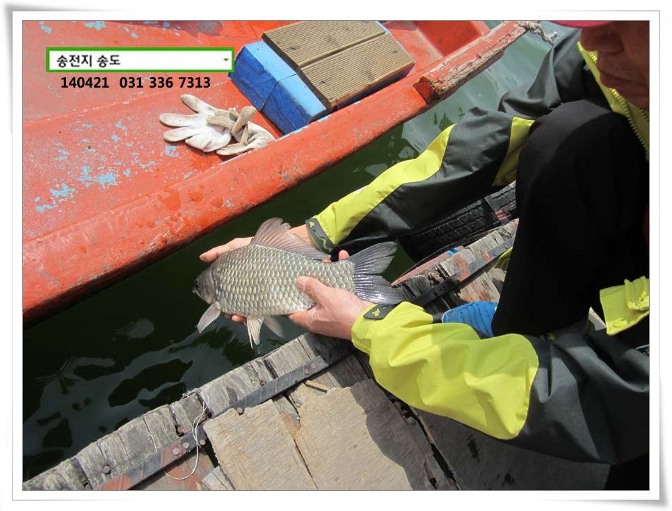 IMG_0063.JPG copy.jpg