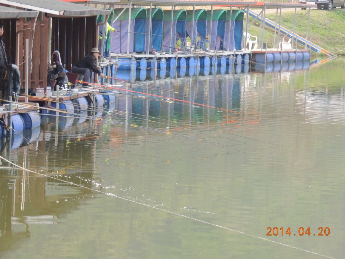 DSCN0590.JPG