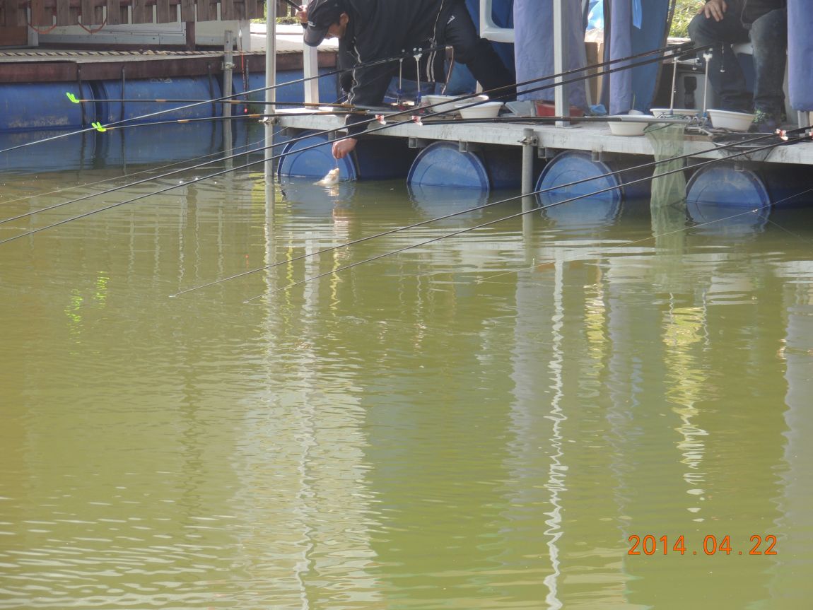 DSCN0601.JPG