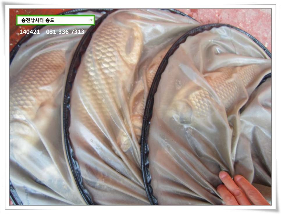 IMG_0010.jpg copy.jpg