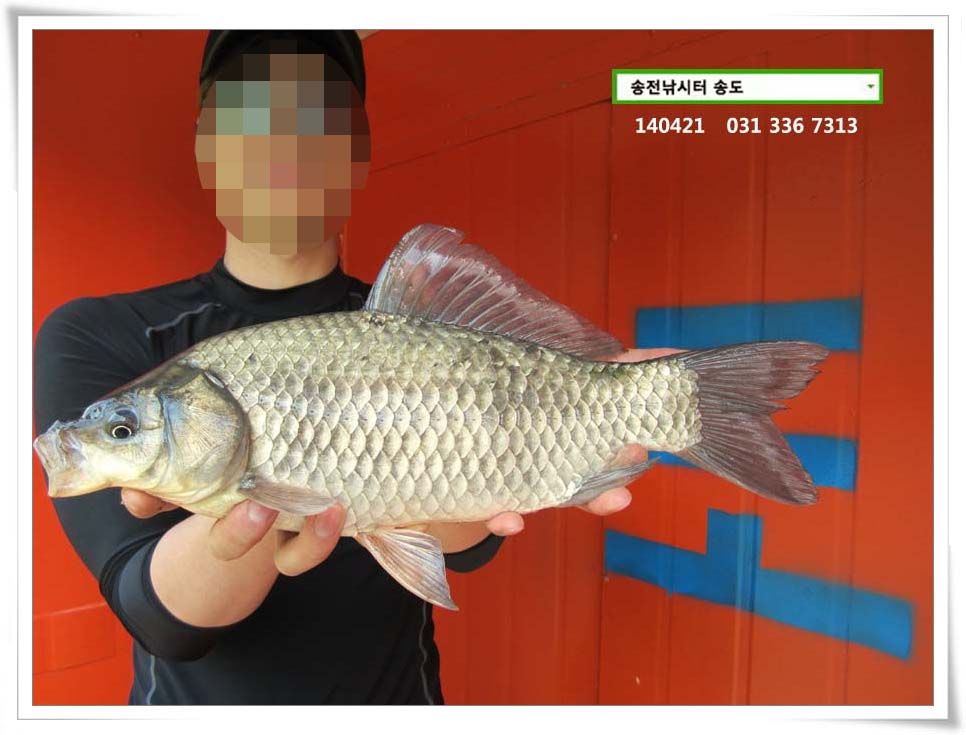 IMG_0019.jpg copy.jpg