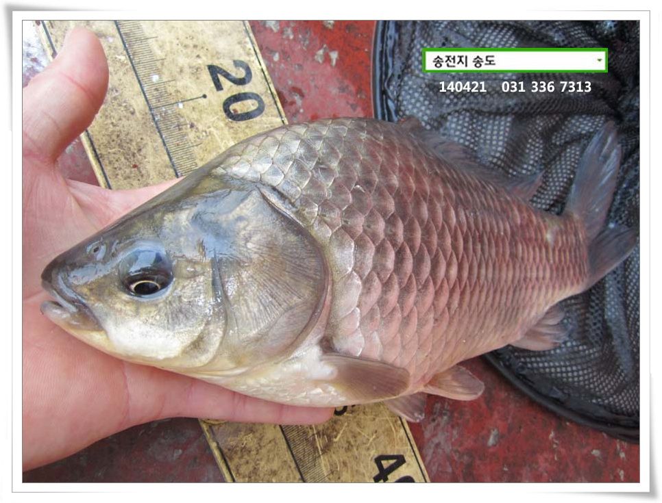 IMG_0033.jpg copy.jpg