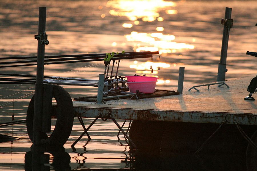 �ٹ̱�_�ݵ������� 1488.jpg