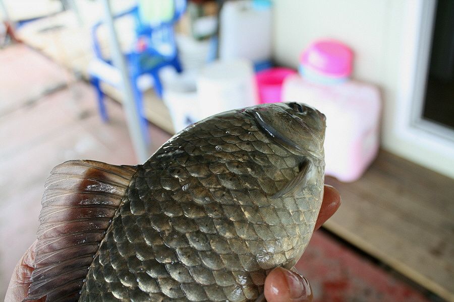 �ٹ̱�_�ݵ������� 1262.jpg