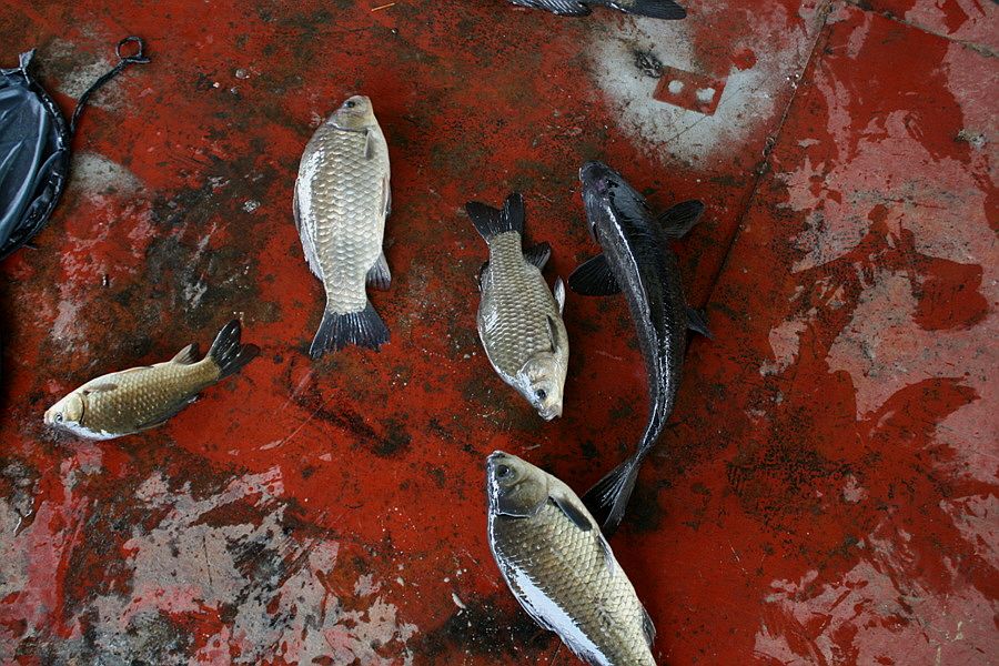 �ٹ̱�_�ݵ������� 1258.jpg