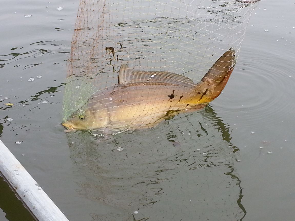 20140412_132315.jpg