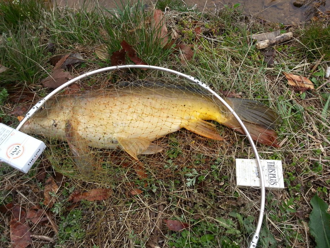 20140412_132432.jpg