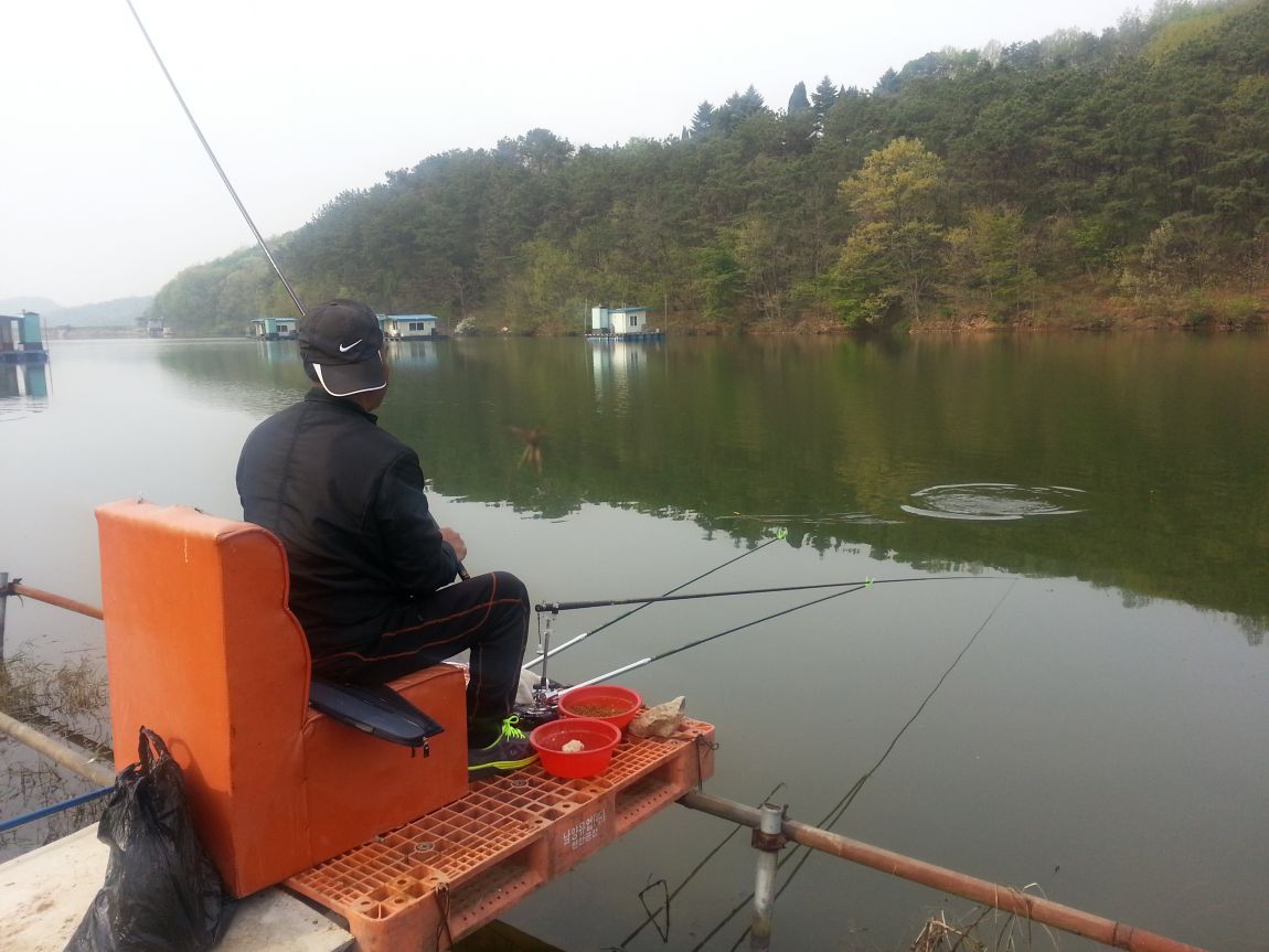 20140422_082543.jpg