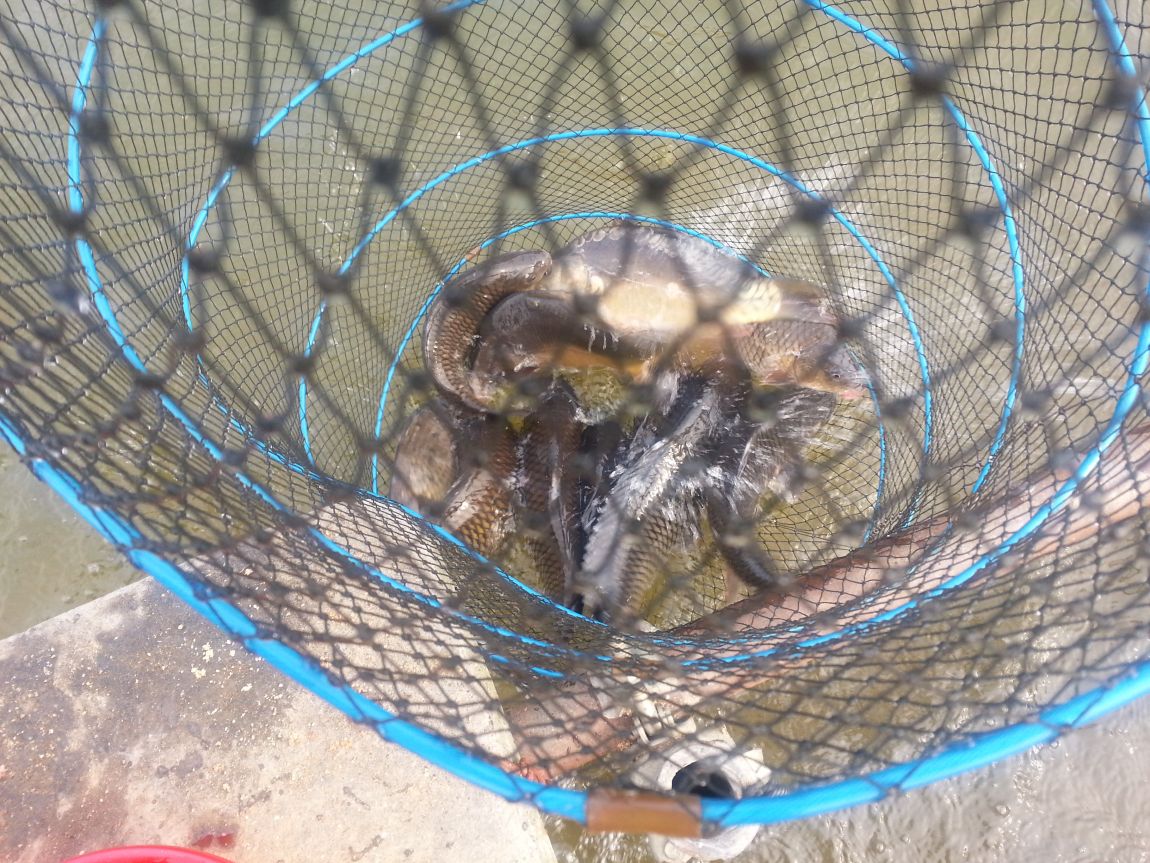 20140422_083210.jpg