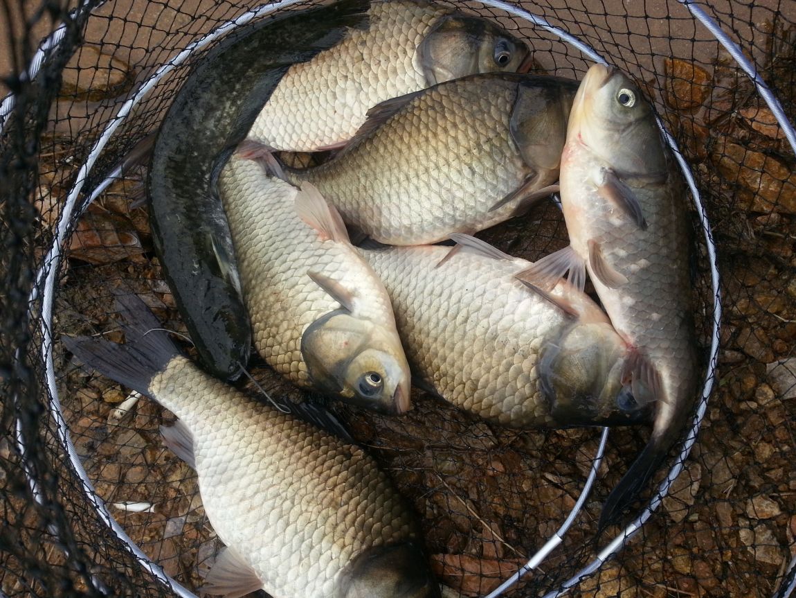 20140417_160939.jpg