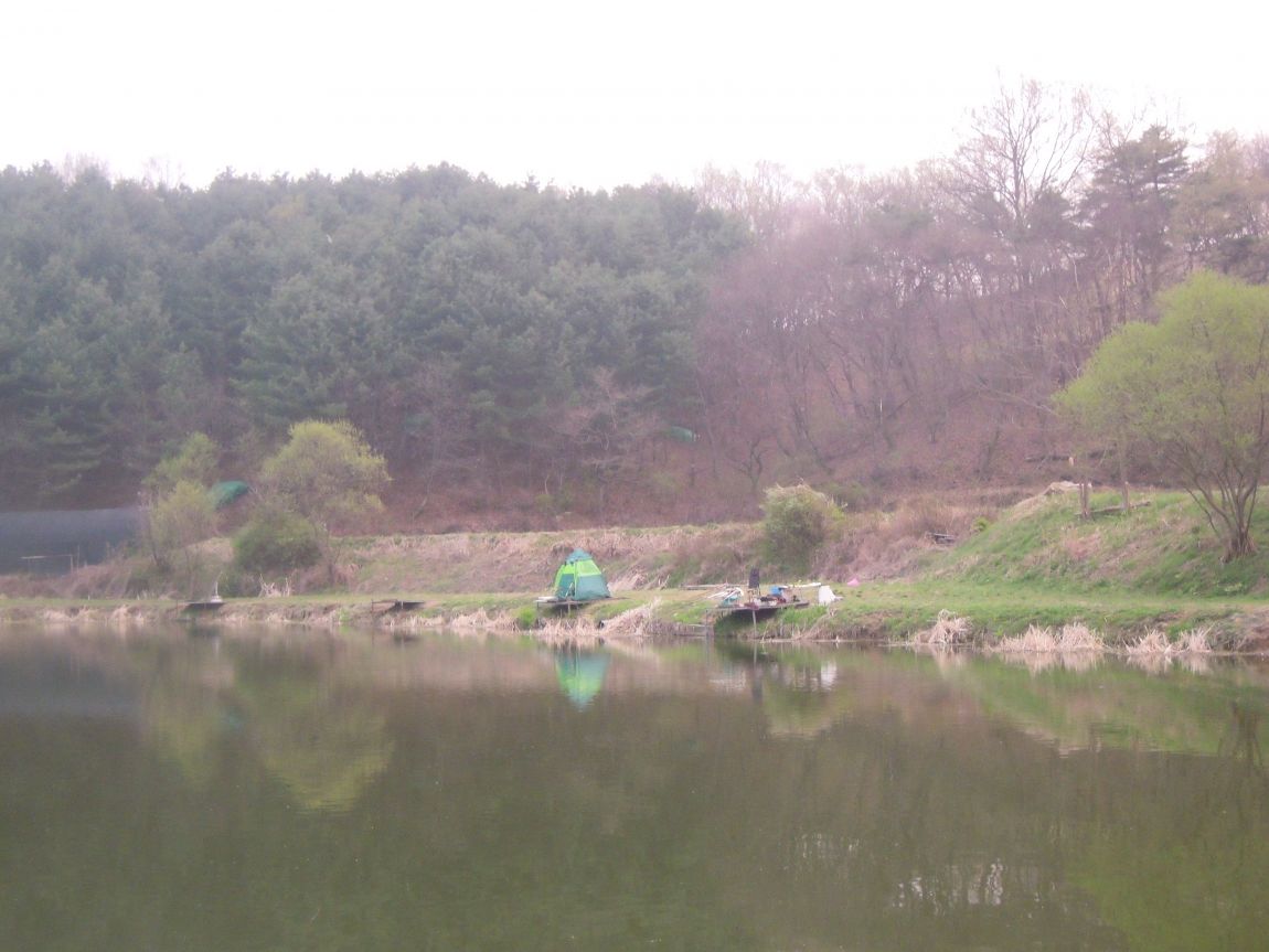 413 015.jpg