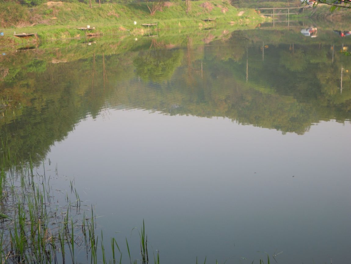 425dlf 095.jpg