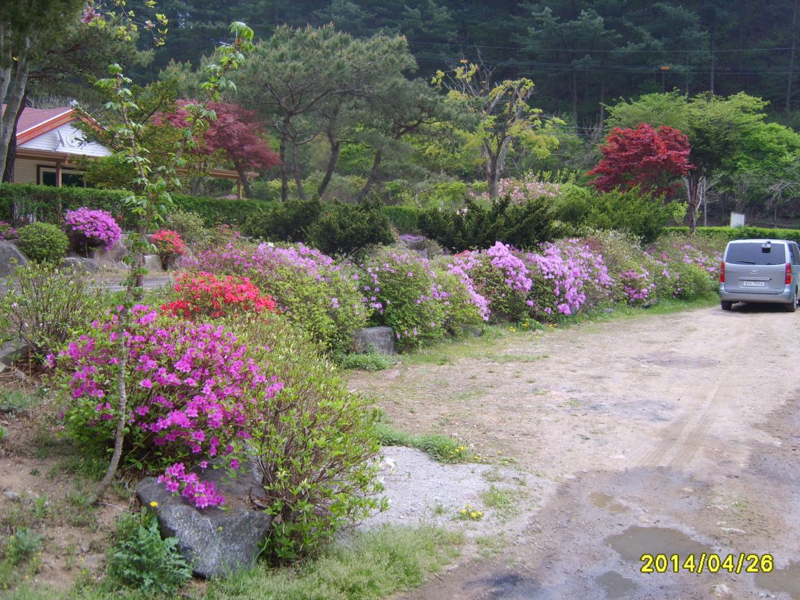 S8002006.JPG