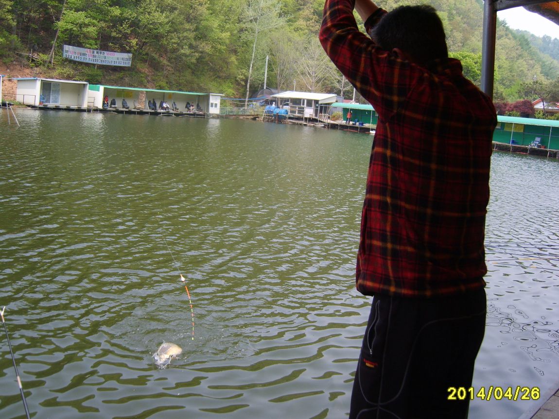S8002012.JPG