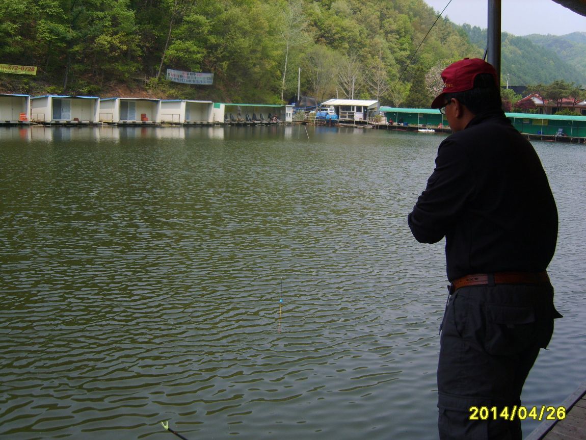 S8002017.JPG