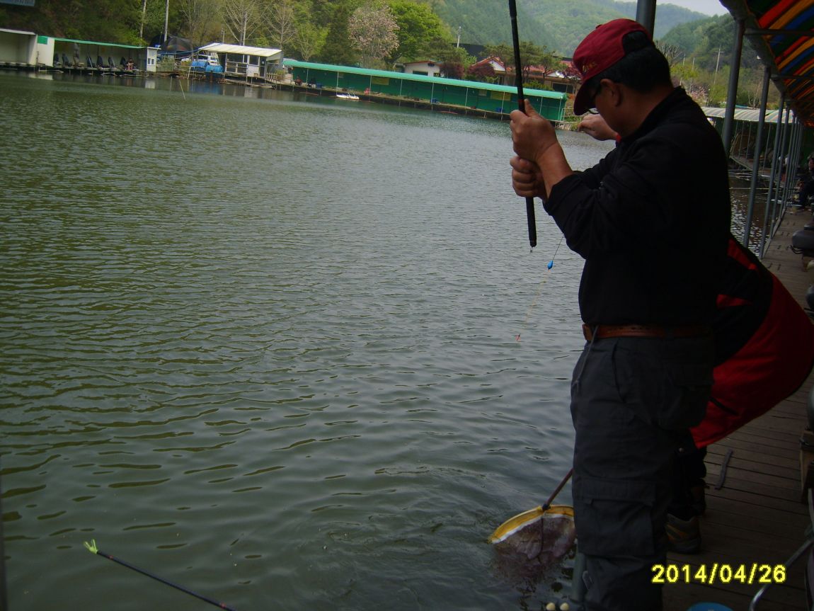 S8002018.JPG
