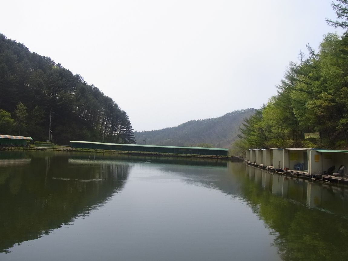 R0017988.JPG