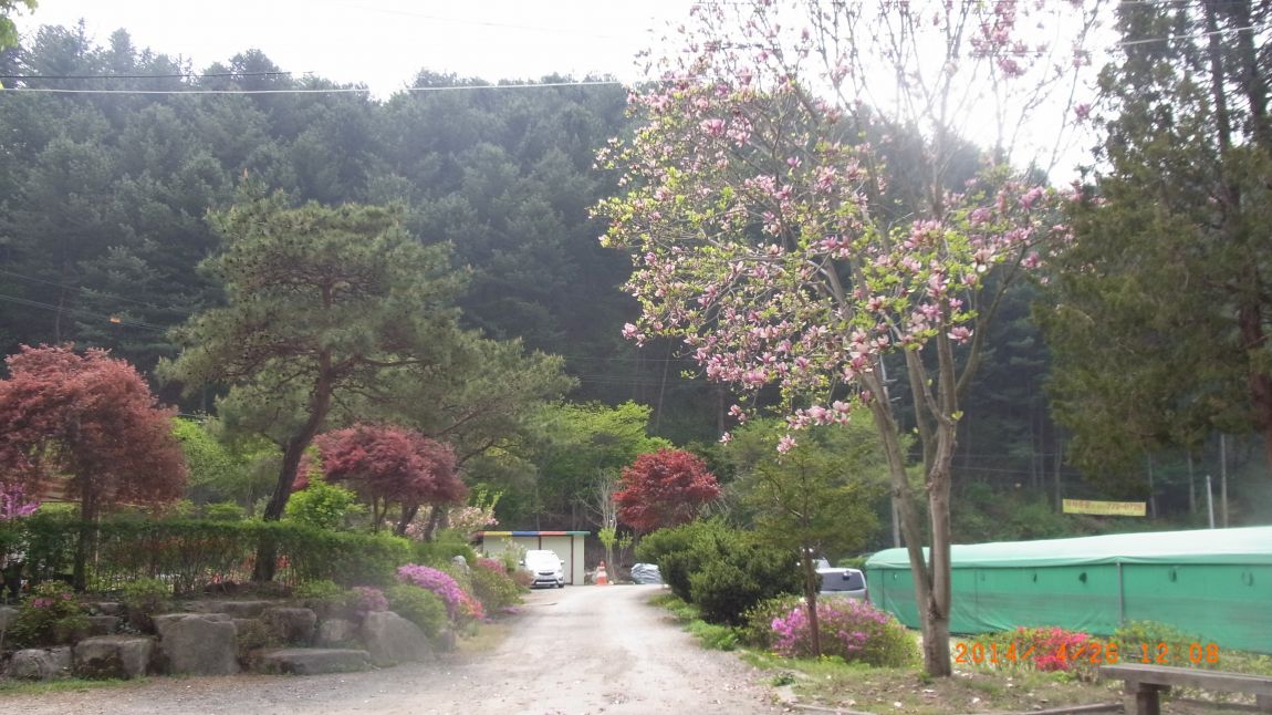 R0017994.JPG