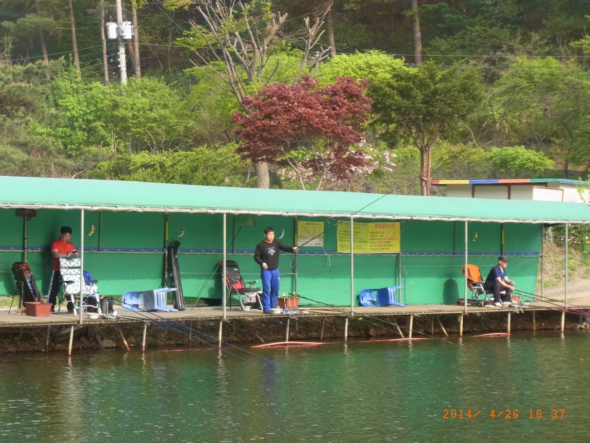 R0018025.JPG