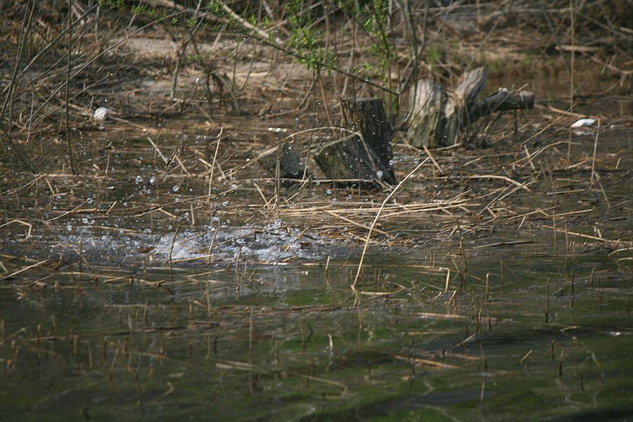 �ٹ̱�_�ݵ������� 1532.jpg