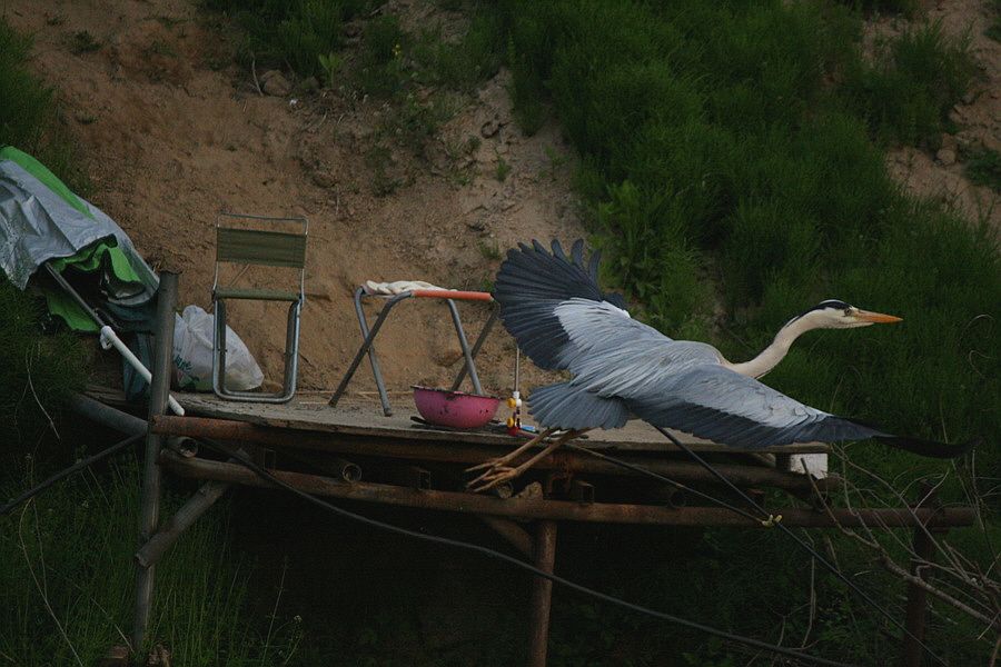 �ٹ̱�_�ݵ������� 1585.jpg